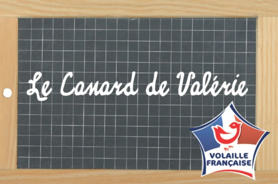 marque2 visuel