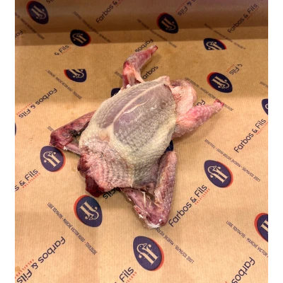 Pigeon entier Visuel 1 principal